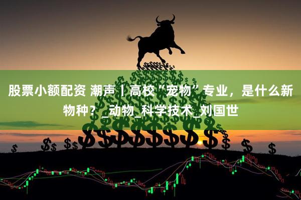 股票小额配资 潮声丨高校“宠物”专业，是什么新物种？_动物_科学技术_刘国世