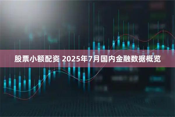 股票小额配资 2025年7月国内金融数据概览