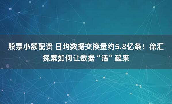 股票小额配资 日均数据交换量约5.8亿条！徐汇探索如何让数据“活”起来
