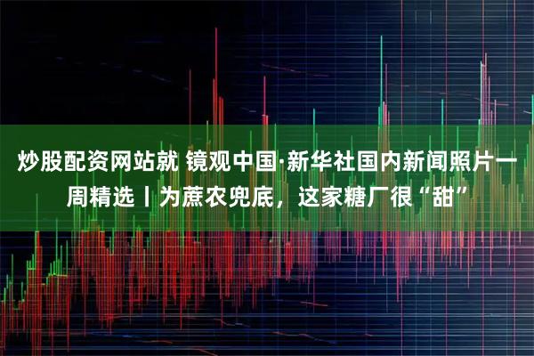 炒股配资网站就 镜观中国·新华社国内新闻照片一周精选丨为蔗农兜底，这家糖厂很“甜”